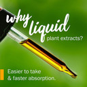 Herb Pharm Certified Organic Liquid Extract For Urinary System Support Juniper 1 Fl Oz