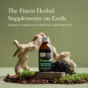 Gaia Herbs Black Elderberry, Nighttime Syrup - Immune Support Supplement - With Organic Black Elderberries, California Poppy & Lemon Balm For Restful Sleep & Immune Defense - 5.4 Fl Oz (32-Day Supply)