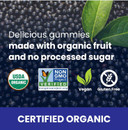 Fruily Organic Elderberry Gummies With Zinc And Vitamin C - Immune Support Supplement Certified Usda Organic Chewable Sambucus Elderberry Gummies, All Natural, Non-Gmo, Gluten-Free, Kosher, Vegan