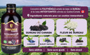 Immunia Fusion - Improve Your Immune Support. Elderberries, Elderflower And Antioxidant Berries Formula. Concentrated Polyphenols (Anthocyanins, Quercetins). Made With Canadian Elderberry (1 Pack)
