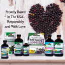 Nature'S Answer Sambucus Elderberry Syrup Spray ( Pack Of 4 ) - 2 Fluid Ounces | Natural Immune Booster | Travel Friendly | Packed With Antioxidants | Great Tasting | Immune On The Go