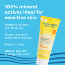 Seaweed Bath Co. Everyday Mineral Spf 40 Broad Spectrum Sunscreen Lotion, 3.4 Ounce, Sustainably Harvested Seaweed, Sea Kale, Prebiotics