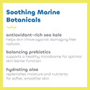 Seaweed Bath Co. Everyday Mineral Spf 40 Broad Spectrum Sunscreen Lotion, 3.4 Ounce, Sustainably Harvested Seaweed, Sea Kale, Prebiotics