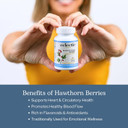 Eclectic Institute Raw Fresh Freeze-Dried Non-Gmo Hawthorn Berry | Cardiovascular Support | 90 Ct (500 Mg)