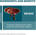 Host Defense Reishi Extract - Heart & Immune Health Support Supplement - Mushroom Supplement To Support Energy & Vitality - Reishi Supplement To Aid Overall Well-Being - 1 Fl Oz (30 Servings)