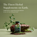 Gaia Herbs Olive Leaf - Traditional Immune Health Support - Immune System Supplement With Olive Leaf Extract And Oleuropein - 120 Vegan Liquid Phyto-Caps