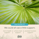 Gaia Herbs Prostate Health - Supports Prostate Health And Function For Men - With Saw Palmetto, Green Tea, Nettle Root, And White Sage - 120 Vegan Liquid Phyto-Capsules (40-Day Supply)