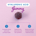 Hyalogic Chewy Ha Gummies Mixed Berry Flavor Hyaluronic Acid Gummies  Gluten-Free Gummy Vitamins For Adults - Ha Supplement For Joints, Skin & Eyes 60 Count (120 Mg)