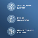 Dr. Mercola, Iodine, 90 Servings (90 Capsules), Helps Support Bone And Brain Health, Helps Support Energy Levels, Non Gmo, Soy Free, Gluten Free