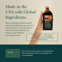 Gaia Herbs Plant Force Liquid Iron - Vegetarian Iron Supplement To Help Maintain Healthy Iron & Energy Levels - With Star Anise, Sea Buckthorn, Beet Root, Dandelion & Nettle - 8.5 Fl Oz (25 Servings)