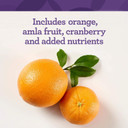 Innate Response Formulas C Complete Powder - Antioxidant Vitamin C Powder Supplement - Helps Support The Immune System -Vegetarian And Non-Gmo - 2.96 Oz. (30 Servings)