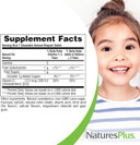 Natures Plus Animal Parade Vitamin D3 Childrenã¢ÂS Chewables - Black Cherry Flavor - 90 Animal-Shaped Tablets - Gluten Free, Vegetarian, Hypoallergenic - 90 Servings