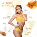 Gigi All Purpose Honee Hair Removal Soft Wax For All Skin And Hair Types, 14 Oz