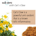 Roscoe Medical Lz1665 Sub Zero Cooling Pain Relief Gel With Cats Claw, 16-Oz