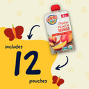 Earth'S Best Organic Baby Food Pouches, Stage 2 Fruit Puree For Babies 6 Months And Older, Organic Peach And Mango Puree, 4 Oz Resealable Pouch (Pack Of 12)