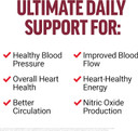 Force Factor Total Beets Energy Drink Mix, Superfood Beet Root Powder With Nitrates To Boost Energy And Support Circulation, Blood Flow, Nitric Oxide And Stamina, Heart Health Supplement, 30 Servings Force Factor Total Beets Energy Drink Mix, Superfood Beet Root Powder With Nitrates To Boost Energy And Support Circulation, Blood Flow, Nitric Oxide And Stamina, Heart Health Supplement, 30 Servings