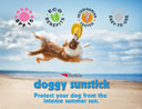 Petkin Dog Sunscreen Sunstick, 2 Pack  Sunscreen For Dogs And Puppies, Spf 15  Simply Rub On Anytime For Instant Sun Protection  Vanilla Coconut Scent, 5 Oz Net Weight  Ideal For Travel