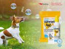 Petkin Dog Sunscreen Sunstick, 2 Pack  Sunscreen For Dogs And Puppies, Spf 15  Simply Rub On Anytime For Instant Sun Protection  Vanilla Coconut Scent, 5 Oz Net Weight  Ideal For Travel