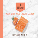Instinct Limited Ingredient Diet Grain Free Recipe With Real Salmon Natural Dry Cat Food By Nature'S Variety, 4.5 Lb. Bag