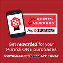 Purina One High Protein, Natural Dry Kitten Food, +Plus Healthy Kitten Formula - 7 Lb. Bag