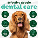 Tropiclean Fresh Breath Foam For Dogs & Cats | Travel-Ready Dog Breath Freshener Foam For Stinky Breath | Made In The Usa | 4.5 Oz