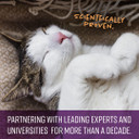 Sentry Calming Chews For Cats, Calming Aid Helps To Manage Stress & Anxiety, With Pheromones That May Help Curb Destructive Behavior & Separation Anxiety, Calming Health Supplement For Cats, 4 Oz