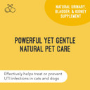 Cat & Dog Urinary Tract Treatment, Bladder & Kidney Support For Dogs And Cats, Powerful Yet Gentle Pet Care, With Liquid Cranberry & Glucosamine, Chicken Flavor, 6 Oz Bottle, 1 Pack