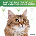 Vetoquinol Viralys L-Lysine Supplement For Cats - Cats & Kittens Of All Ages - Immune Health - Sneezing, Runny Nose, Squinting, Watery Eyes - Flavored Lysine Powder
