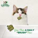 Greenies Feline Adult Natural Dental Care Cat Treats, Catnip Flavor, 2.1 oz. Pouch