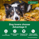 Advantage Ii Large Dog Vet-Recommended Flea Treatment & Prevention | Dogs 21-55 Lbs. | 6-Month Supply
