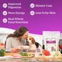 Dr. Harvey'S Paradigm Green Superfood Dog Food, Human Grade Dehydrated Grain Free Base Mix For Dogs, Diabetic Low Carb Ketogenic Diet (3 Pounds)