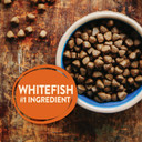 Wellness Core Grain-Free High-Protein Dry Dog Food, Natural Ingredients, Made In Usa With Real Meat, All Breeds, For Adult Dogs (Ocean Whitefish, Herring & Salmon, 12-Pound Bag)