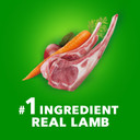 Iams Proactive Health Large Breed Adult Dry Dog Food Lamb & Rice Recipe, 15 Lb. Bag