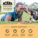 Acana Wholesome Grains Dry Dog Food, Free-Run Poultry, Real Chicken & Turkey And Eggs Dog Food Recipe, 22.5Lb Acana Wholesome Grains Dry Dog Food, Free-Run Poultry, Real Chicken & Turkey And Eggs Dog Food Recipe, 22.5Lb