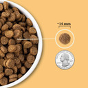Acana Wholesome Grains Dry Dog Food, Free-Run Poultry, Real Chicken & Turkey And Eggs Dog Food Recipe, 22.5Lb Acana Wholesome Grains Dry Dog Food, Free-Run Poultry, Real Chicken & Turkey And Eggs Dog Food Recipe, 22.5Lb