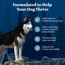 Blue Buffalo Wilderness Natural High-Protein Dry Food For Adult Dogs, Chicken Recipe, 28-Lb. Bag