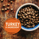 Wellness Natural Pet Food Core Grain-Free High-Protein Small Breed Dry Dog Food, Natural Ingredients, Made In Usa With Real Meat (Adult, Turkey, 4-Pound Bag)