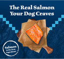 Blue Buffalo Wilderness Natural High-Protein Dry Food For Adult Dogs, Salmon Recipe, 4.5-Lb. Bag