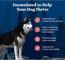 Blue Buffalo Wilderness Natural High-Protein Dry Food For Adult Dogs, Salmon Recipe, 4.5-Lb. Bag