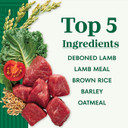 Nutro Natural Choice Adult Dry Dog Food, Lamb And Brown Rice Recipe, 5 Lbs