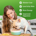 Dr. Harvey'S Veg-To-Bowl Dog Food, Human Grade Dehydrated Base Mix For Dogs, Grain Free Holistic Mix, Trial Size (6.5 Oz)