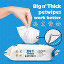 Petkin Large Pet Wipes For Dogs And Cats, 200 Count, Organic Oat Extract, Moistened With Gentle Cleaning Formula, Ideal For Home Or Travel