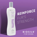 Biosilk For Dogs Silk Therapy Whitening Shampoo | Best Brightening Dog Shampoo For White Dogs To Keep A Clean, White Coat, 12 Oz Shampoo Bottle For All Dogs, Pack Of 2
