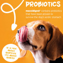 Maxxidigest+ Digestive And Immune Support Supplement For Dogs With Probiotics, Prebiotics And Digestive Enzymes  13.2 Oz