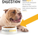 Maxxidigest+ Digestive And Immune Support Supplement For Dogs With Probiotics, Prebiotics And Digestive Enzymes  13.2 Oz