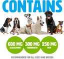 Glucosamine For Dogs With Chondroitin And Msm - Hip And Joint Supplement For Dog Mobility Support And Arthritis Pain Relief - 500 Chewable Tablet Treats By Ptc - Profits To Charity