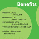 Inclover Connectin Hip And Joint Supplement For Dogs. Combines Glucosamine, Chondroitin And Hyaluronic Acid With Herbs For Comfort And Mobility