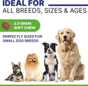 Advanced Hemp Chews For Dogs Hip Joint Pain Relief - Glucosamine For Dogs Hip And Joint Supplement Large Breed - Hemp Treats Joint Health Senior Dog - Chondroitin Hemp Oil Pills - Peanut Butter-240T