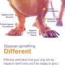 Joint Support Supplement For Dogs - Hip And Joint Support - Dog Joint Supplement - Hip And Joint Supplement Dogs - 60 Soft Chews For Medium Dogs (By Virbac)