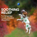 Vetã¢ÂS Best Aches + Pains Dog Supplement - Vet Formulated For Dog Occasional Discomfort And Hip And Joint Support - 150 Count (Pack Of 1)